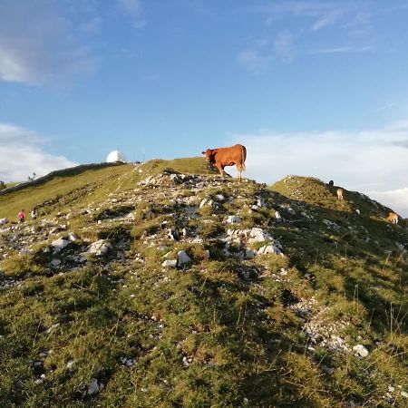 Cahute De Montagne Pour Profiter Du Haut Jura Prémanon Buitenkant foto