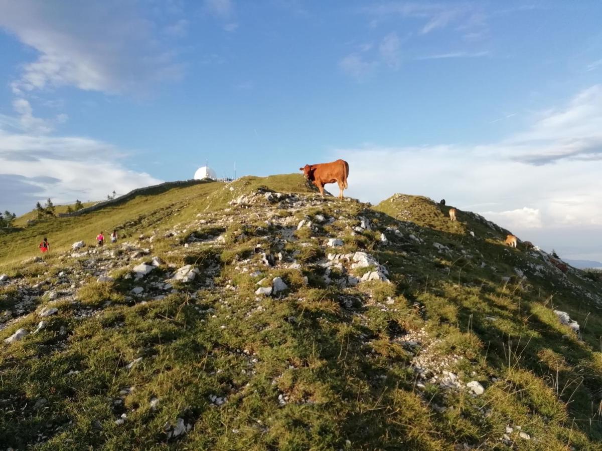 Cahute De Montagne Pour Profiter Du Haut Jura Prémanon Buitenkant foto