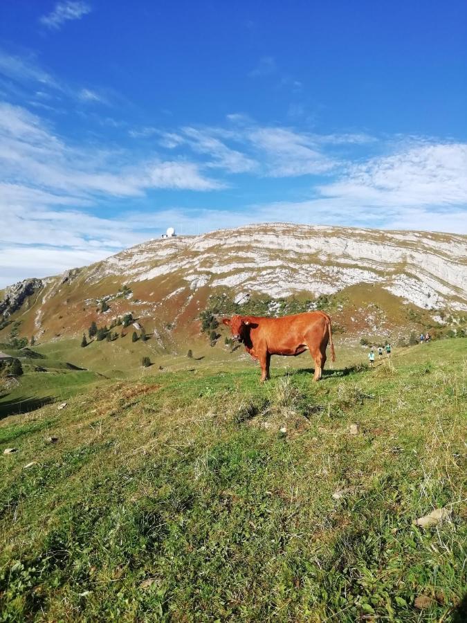 Cahute De Montagne Pour Profiter Du Haut Jura Prémanon Buitenkant foto