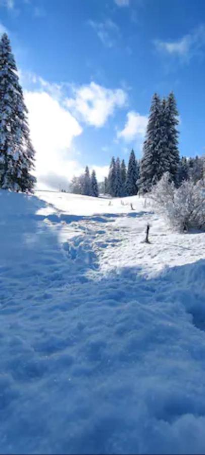 Cahute De Montagne Pour Profiter Du Haut Jura Prémanon Buitenkant foto